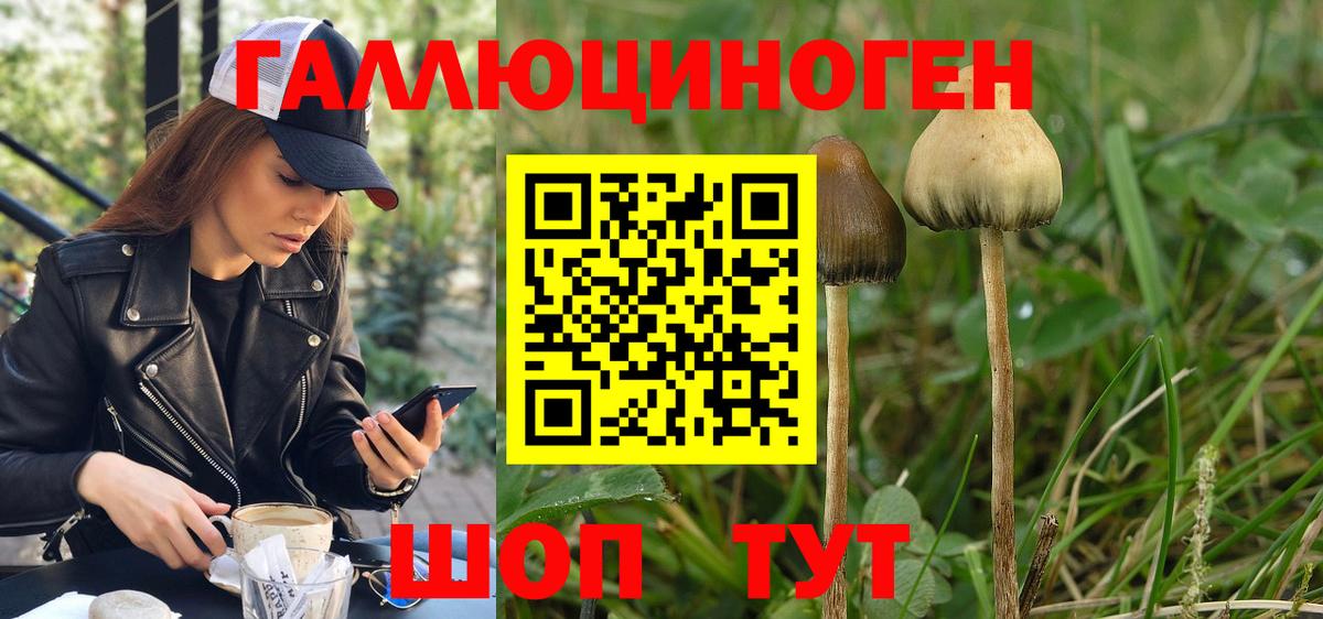 Галлюциногенные грибы мицелий  Вход с VPN  Минеральные Воды 